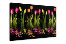 Obraz Tulipány zs3147