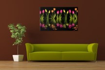 Obraz Tulipány zs3147