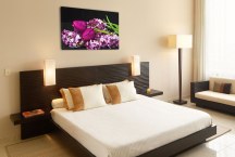 Obraz Orgován a Tulipán zs3149