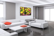 Obrazy Tulipány zs3150