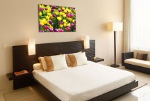 Obrazy Tulipány zs3150