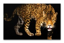 Obraz na stenu Panter zs3153