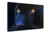 Obraz Čierny Panter zs3155