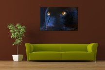 Obraz Čierny Panter zs3155