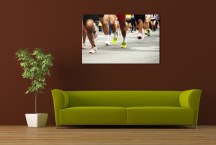 Obraz Maratón zs315