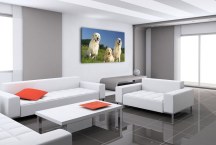 Obraz - Labrador zs3160