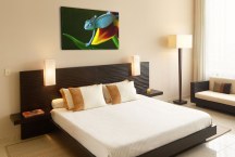 Foto obraz - Chameleón zs3161