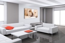 Obraz - Šteniatka zs3167