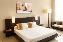 Obraz - Šteniatka zs3167