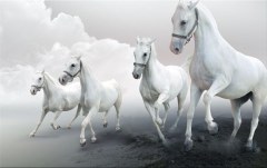 Obraz na stenu ZS - bez pomeru strán