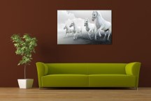 Obraz - Biele kone zs3168