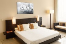 Obraz - Biele kone zs3168