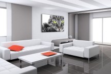 Obrazy - Mačka zs3172