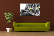 Obrazy - Mačka zs3172
