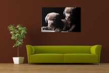 Obraz so šteniatkami zs3173