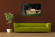 Obraz - V lese zs3174