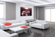 Obraz - Pár labutí zs3177