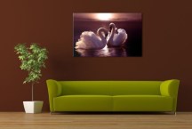 Obraz - Pár labutí zs3177