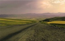 Obraz - V diaľke zs318