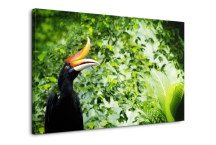 Obraz - Exotický vták zs3180