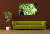 Obraz - Exotický vták zs3180