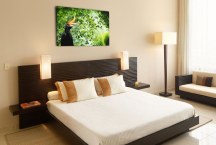 Obraz - Exotický vták zs3180