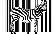 Obraz Zebra zs3181