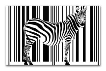 Obraz Zebra zs3181