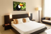 Obrazy Vtákov - Tukan zs3184