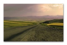 Obraz - V diaľke zs318