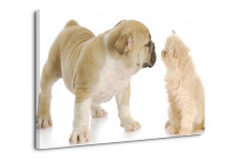 Obraz Mačka a Pes zs3190