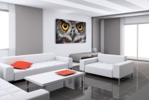 Obraz Oči sovy zs3192