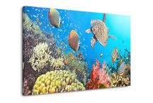 Obraz Podmorská Panoráma zs3193