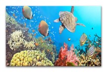 Obraz Podmorská Panoráma zs3193