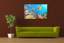 Obraz Podmorská Panoráma zs3193