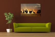 Obraz Kengury zs3195