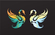 Obraz Dve Labute zs3197