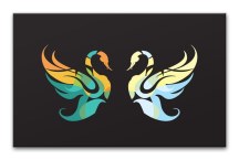 Obraz Dve Labute zs3197