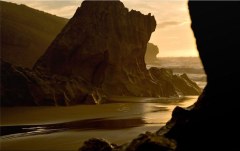 Obraz na stenu ZS - bez pomeru strán