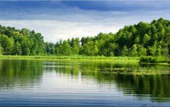 Obraz na stenu ZS - bez pomeru strán