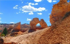 Obraz na stenu ZS - bez pomeru strán