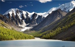 Obraz na stenu ZS - bez pomeru strán