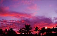 Obraz na stenu ZS - bez pomeru strán