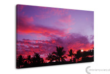 Obraz Palmy večer zs3208