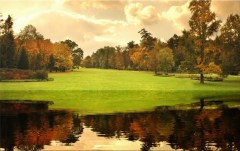 Obraz na stenu ZS - bez pomeru strán