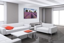 Obraz Levanduľové pole zs3210