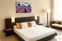 Obraz Levanduľové pole zs3210