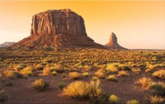 Obraz na stenu ZS - bez pomeru strán