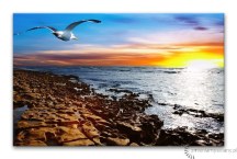 Obrazy Príroda zs3221