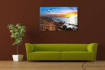 Obrazy Príroda zs3221